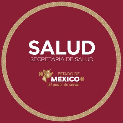 Instituto de Salud del Estado de México